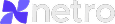 Netro Logo